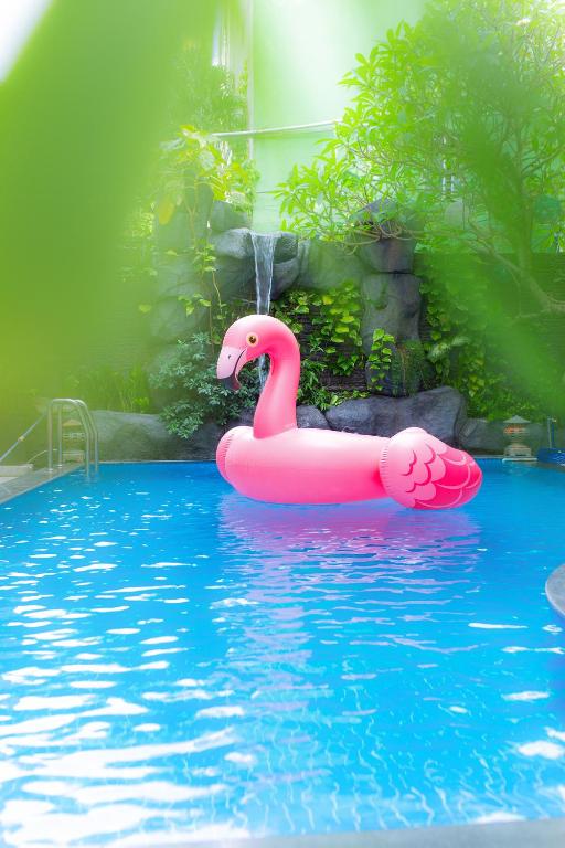 スイミングプール