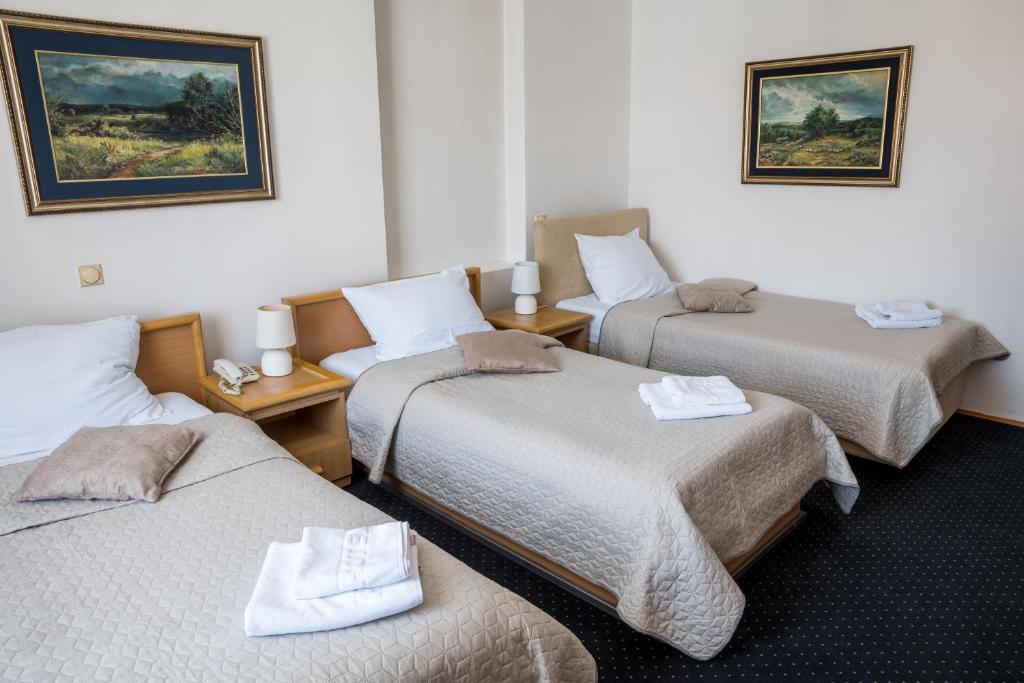 Garni Hotel Panorama Lux - 2