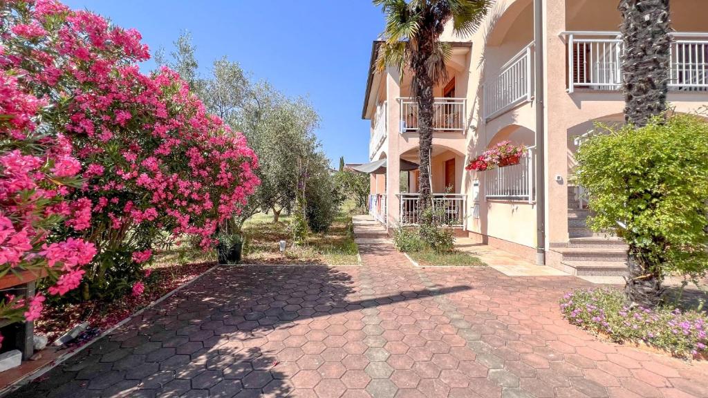 Viola Three, Novigrad – Istrie