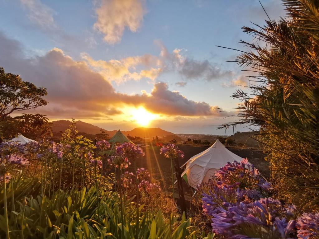 Free Canari - Los Alamos 8 — Hotel in Tenerife