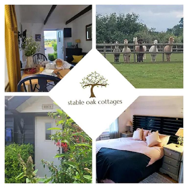 Birch Cottage with private wood fire hot tub, Harrietsham