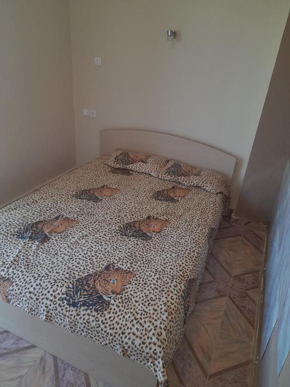 Villa Leopard photo