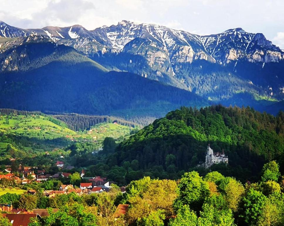 Transylvanian Inn — Hotel in Bran