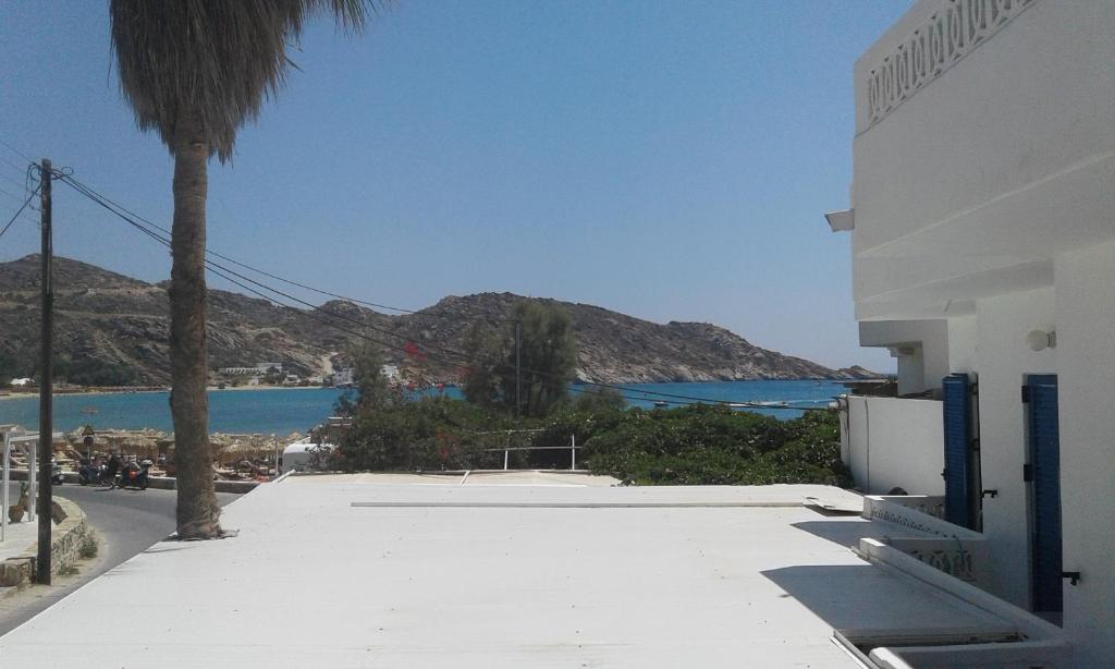 Hotel Delfini photo