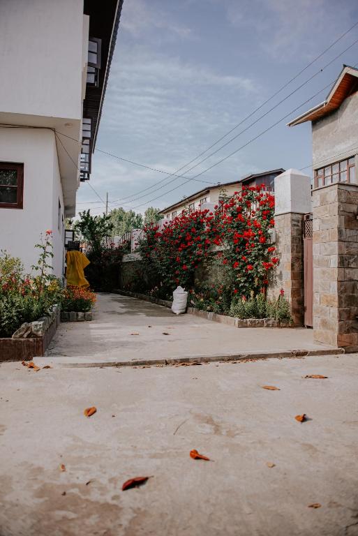 SETHI's HOMESTAY photo
