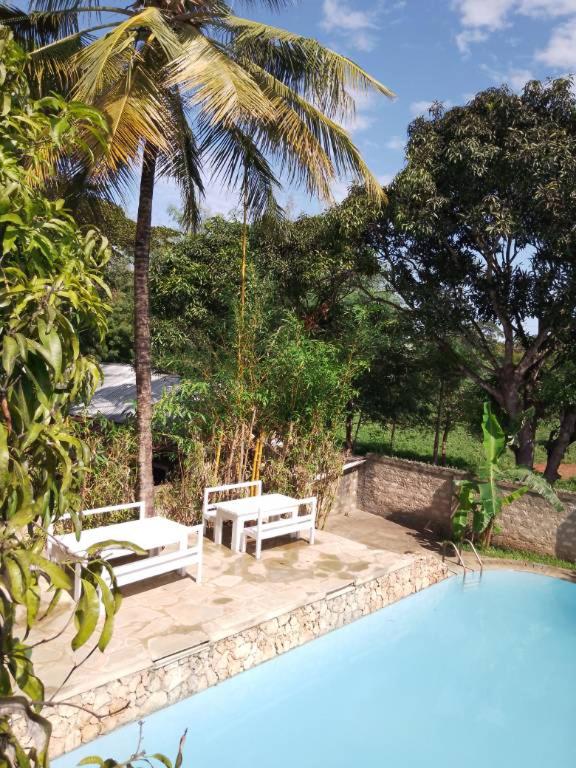 Jamboland-Diani photo