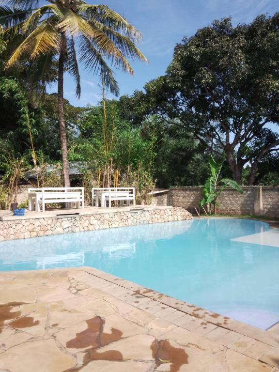 Jamboland-Diani photo