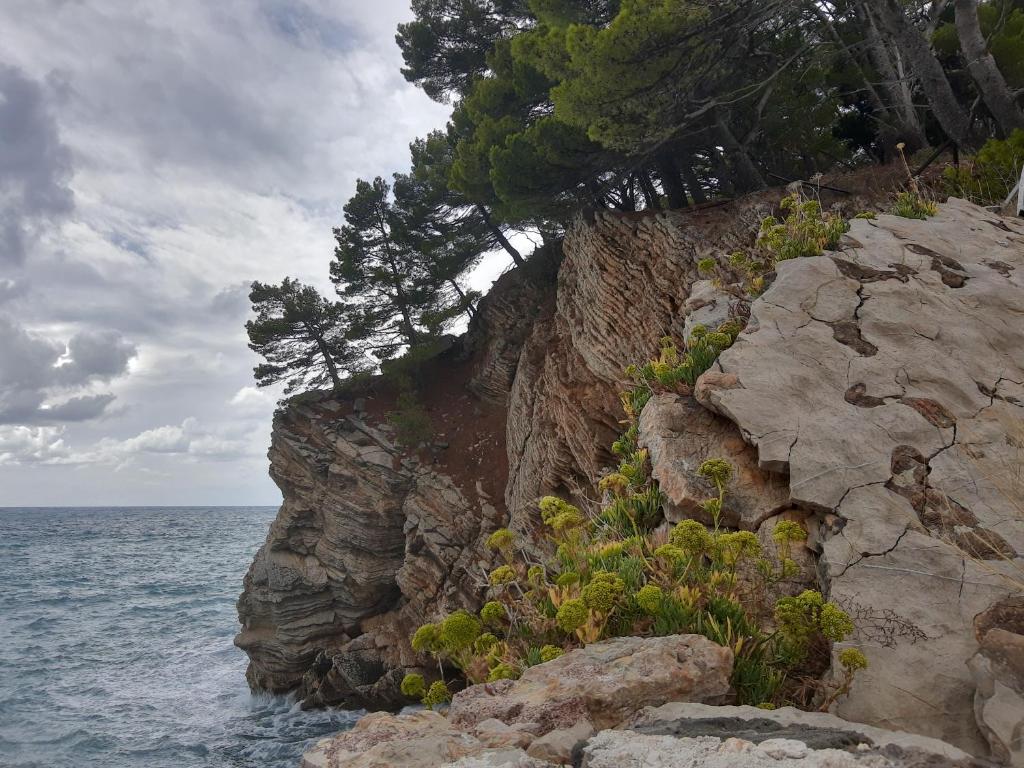 Sea-side Old Stone Villa with a private Garden - 3