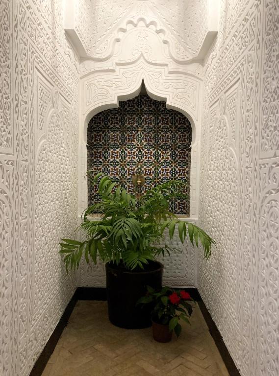 Dar Hannan photo