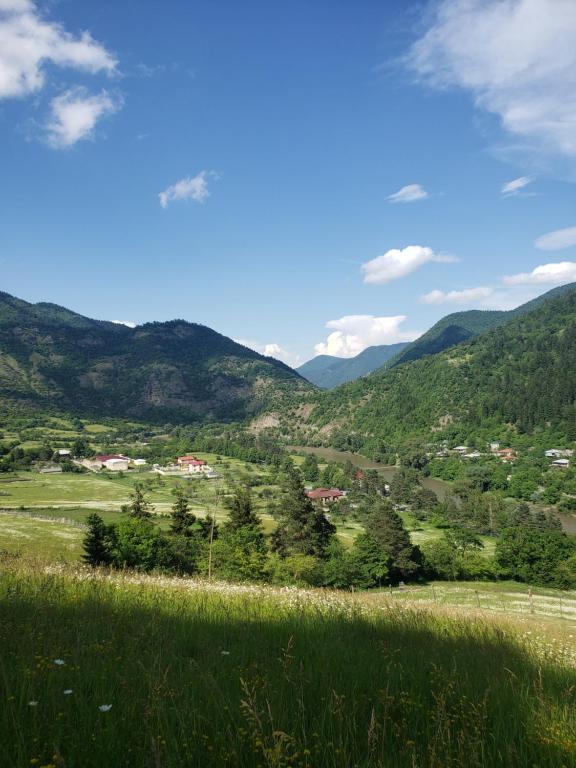 Strawberry, Bordžomi