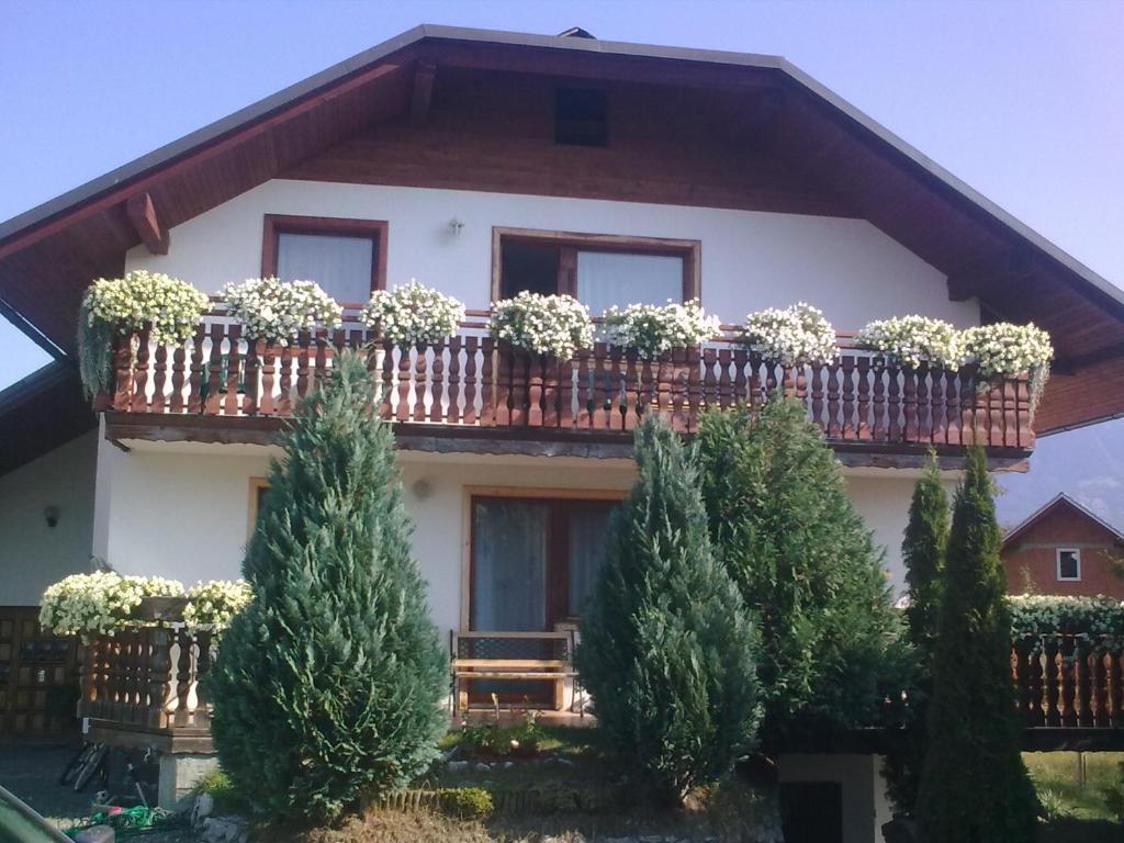 Apartmaji Sparakel, Bled