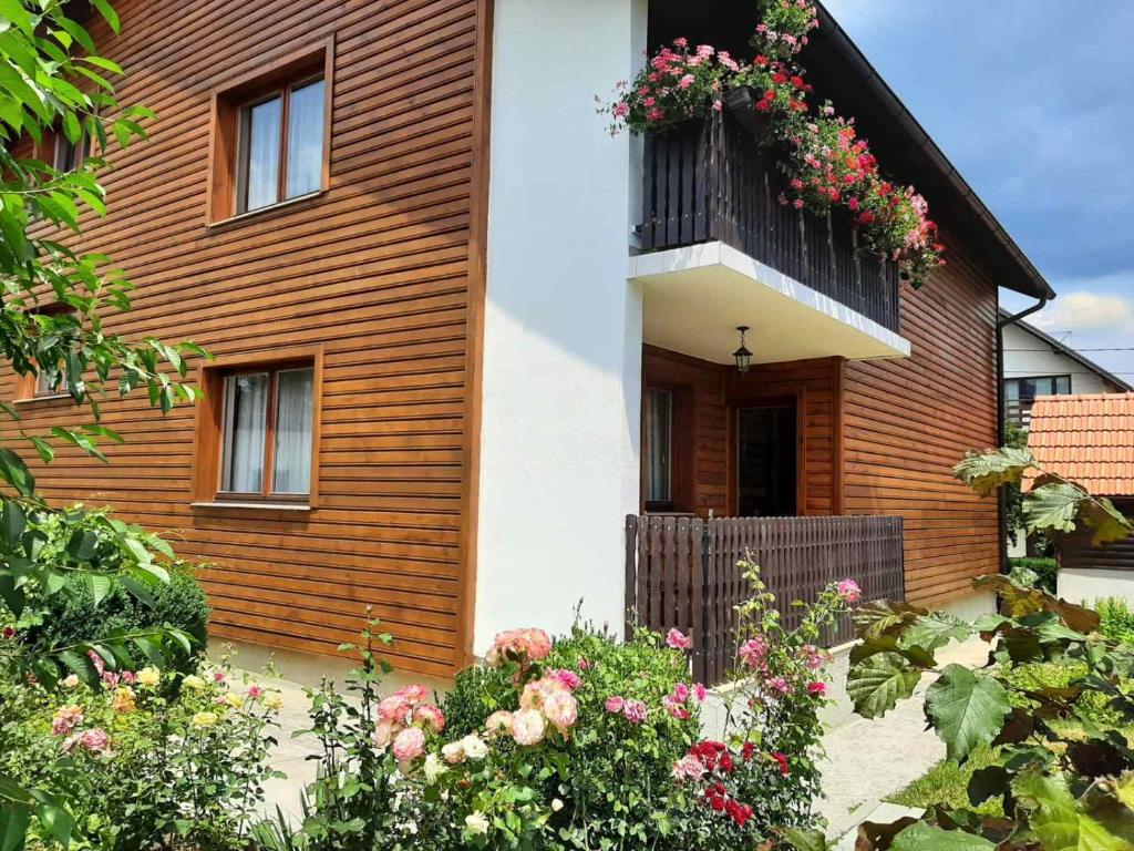 Aleksandar apartmani - 2