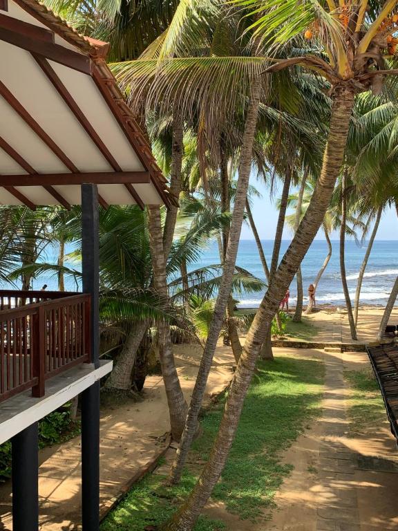 View, Curry Bowl Restaurant & Turtles Rest in Hikkaduwa