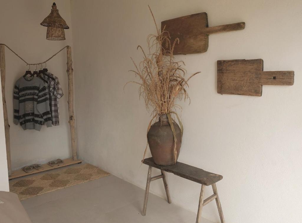 Pavi home photo