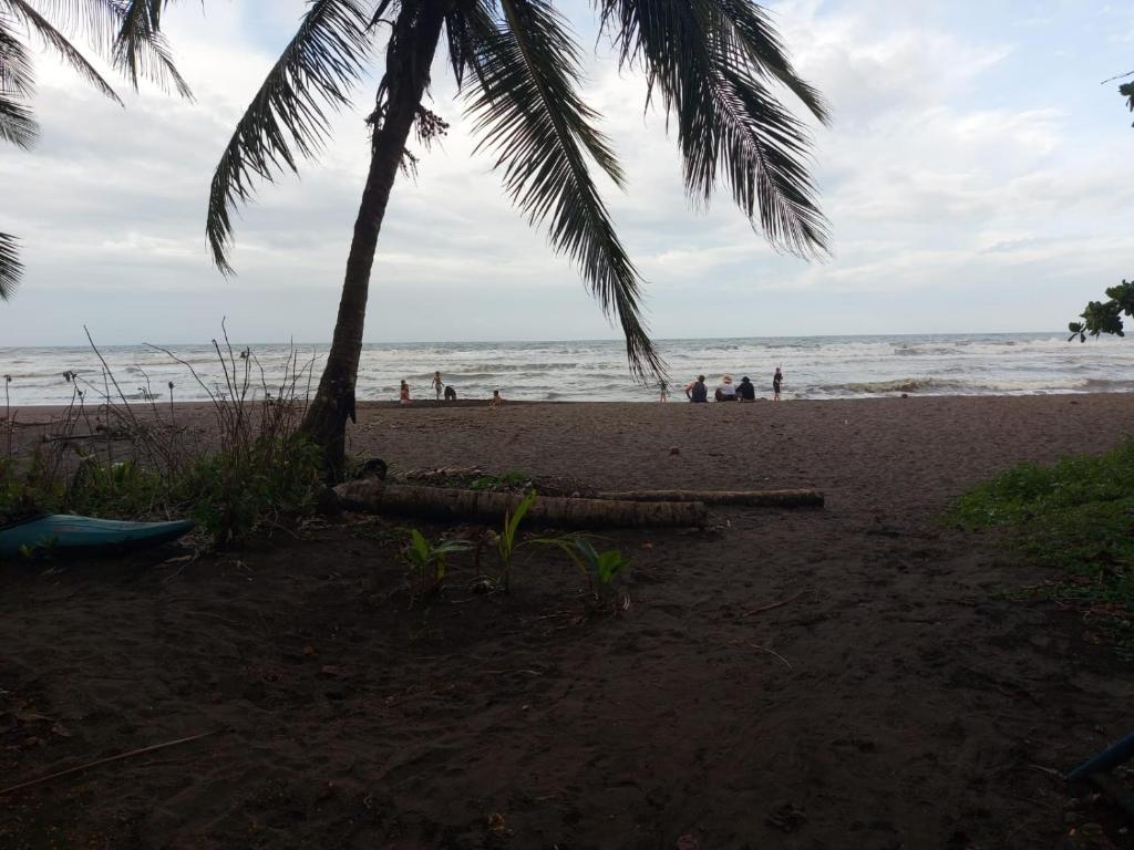 Casa Caribe photo