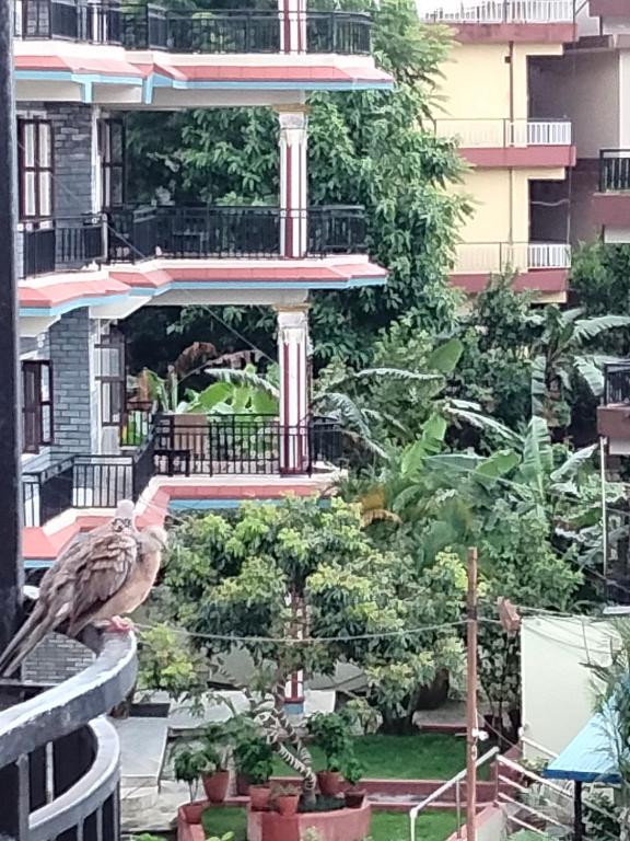 Sunset guest house photo