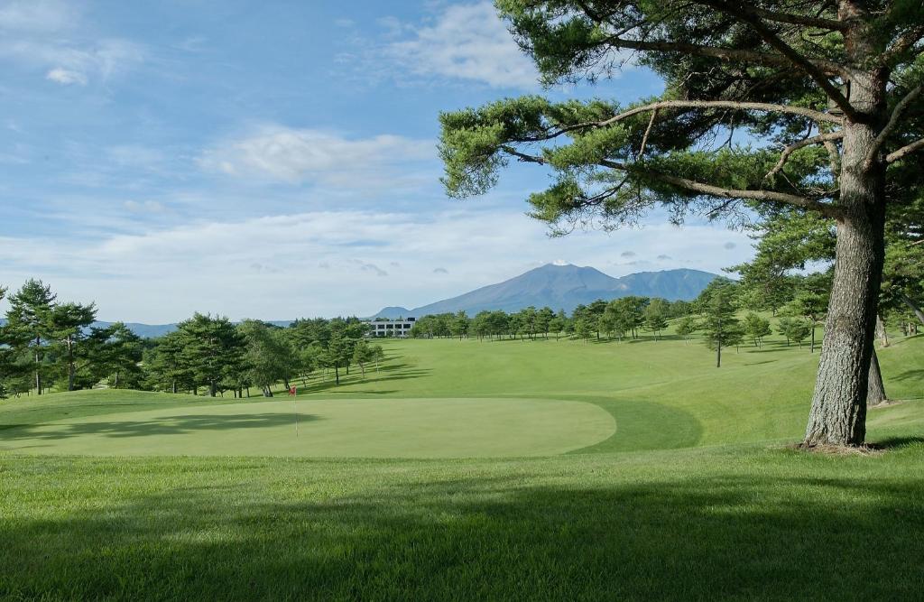 Tsumagoi Prince Hotel photo