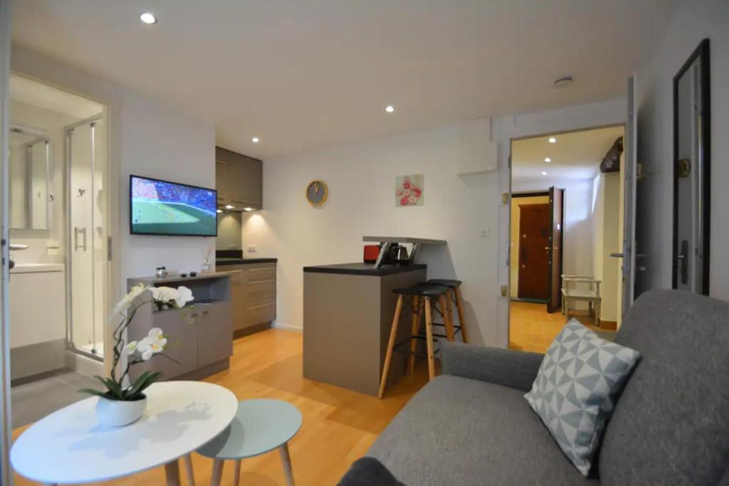 Studio Paquier Annecy hyper centre Old Town - 1