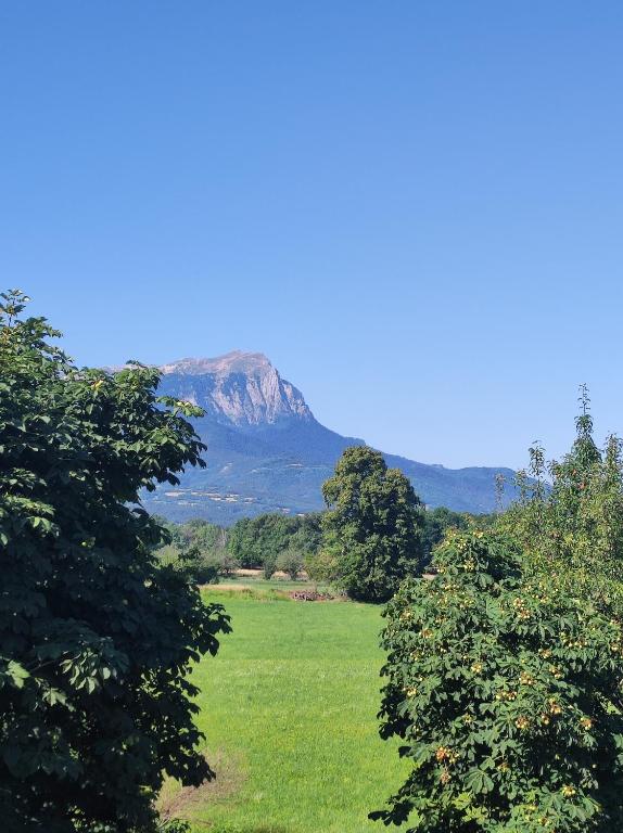 Appartement Mont Guillaume - 1