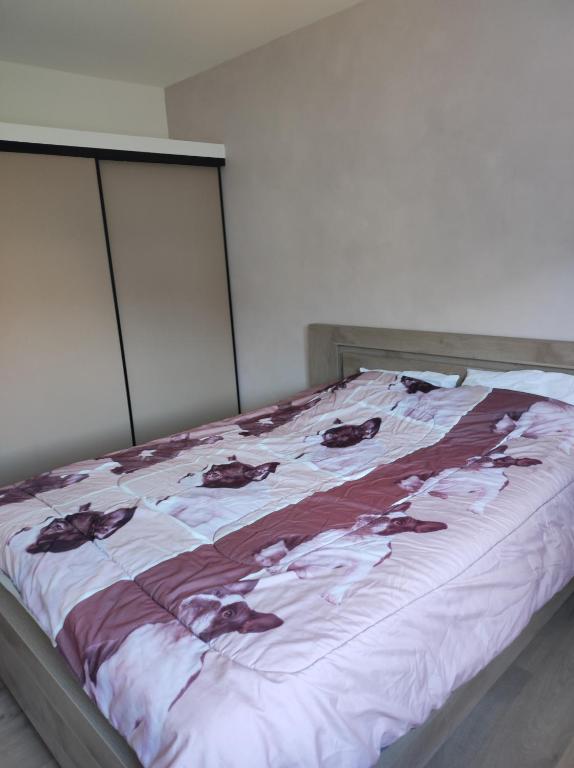 Appartement Mont Guillaume - 5