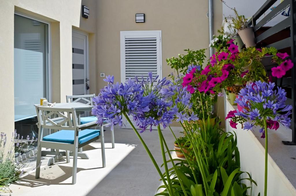 Apartman Festini Pag 전경