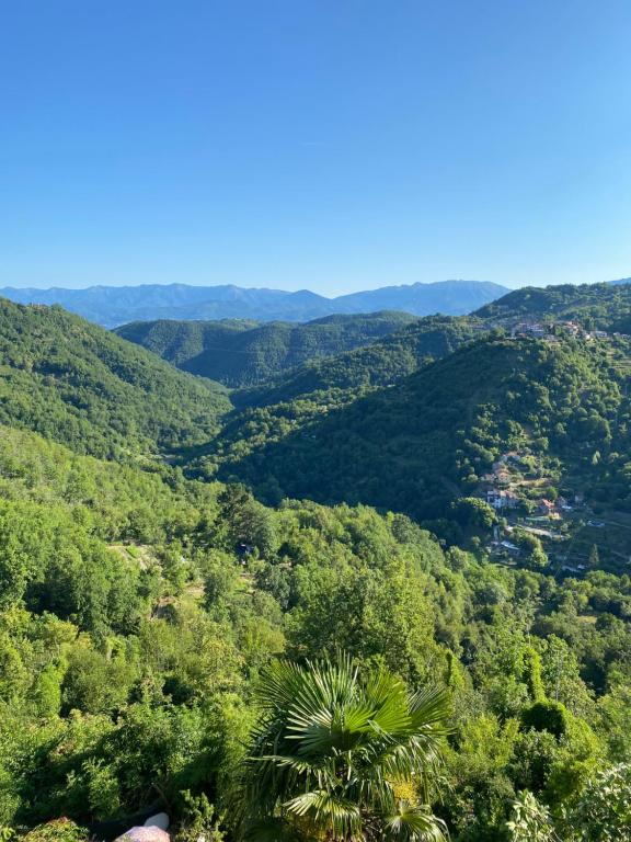 Splendida vista, Marciaso