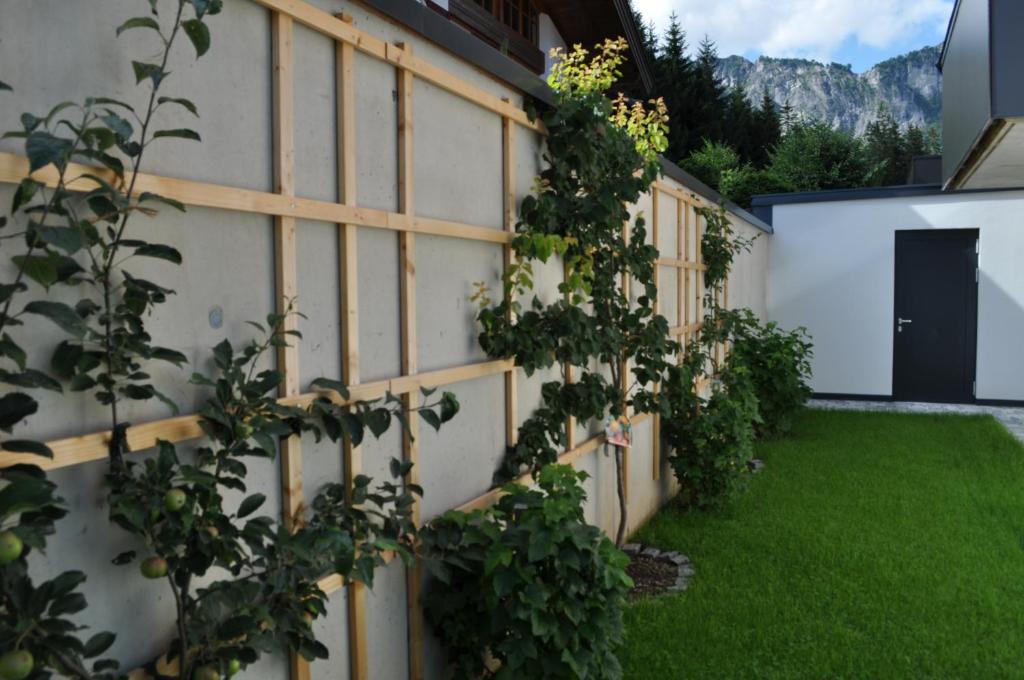 Haus am Walde - 5