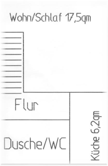 Ảnh 5