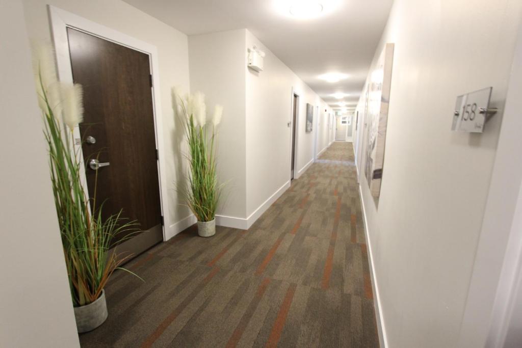 Stardust Motel - Bedford photo