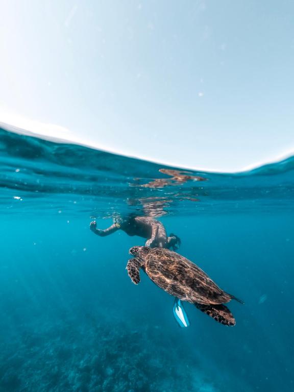 Sports and activities