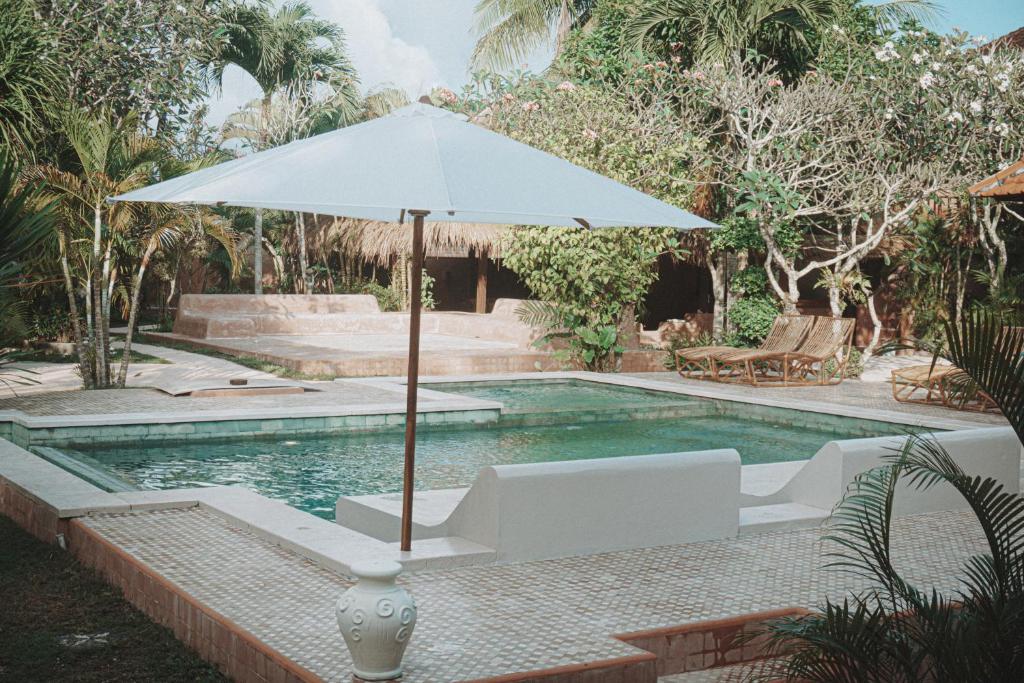 Terra Cottages Bali photo