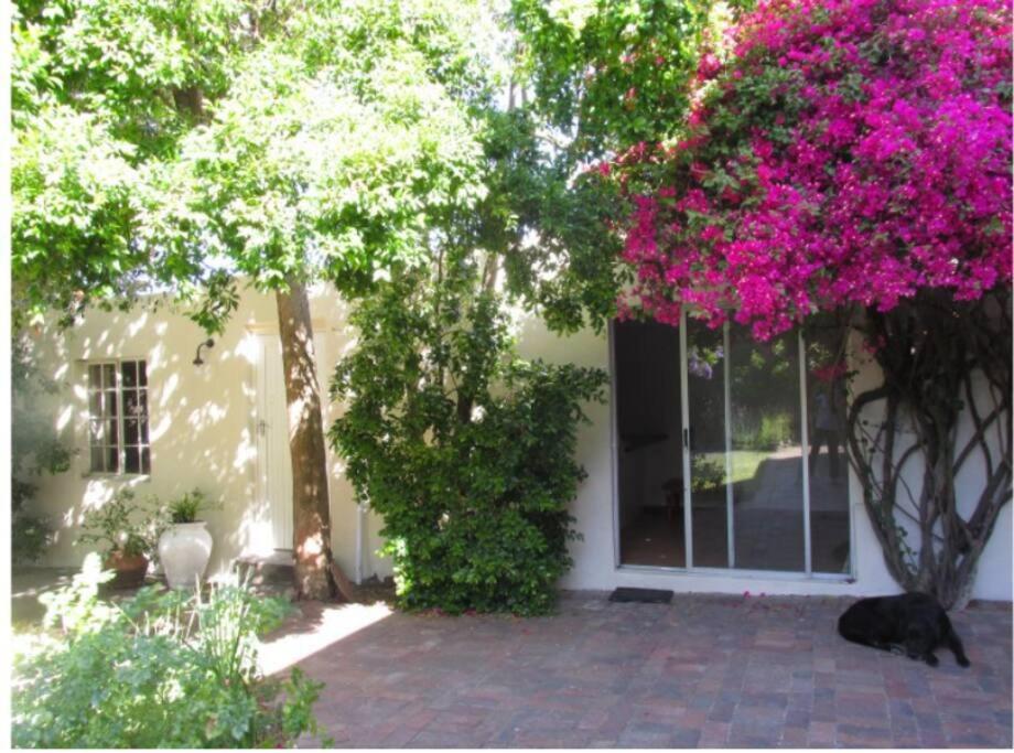 Home On Uitvlugt - Peaceful leafy garden flat with sunny lounge, Kapské Město