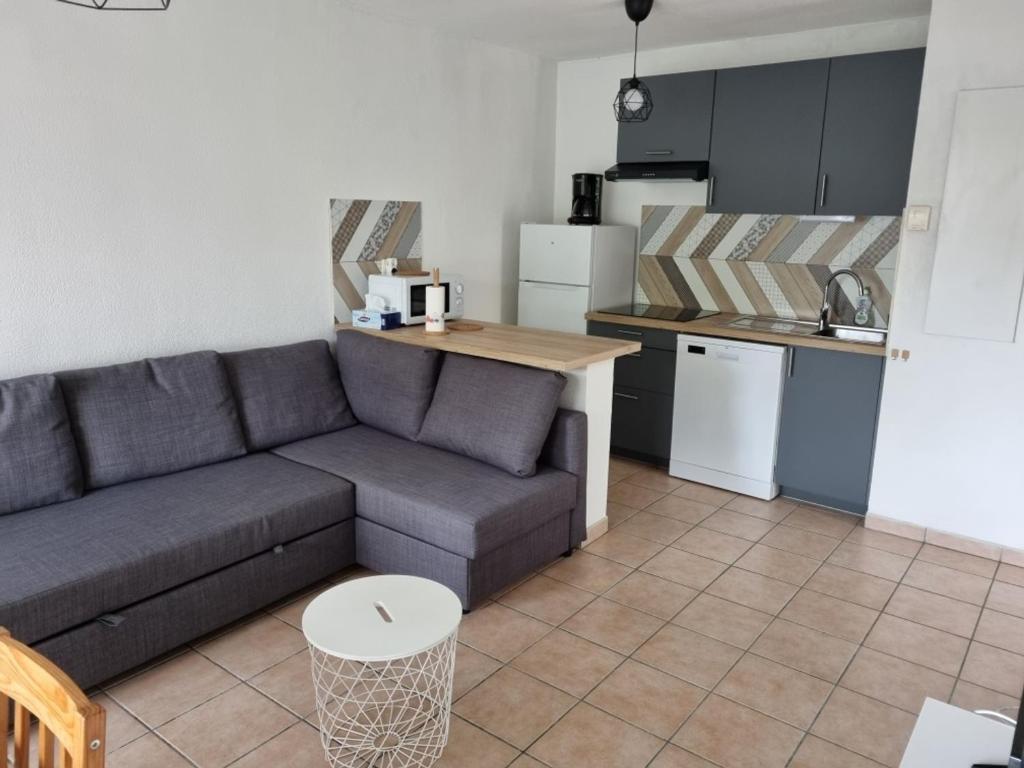 Appartement T2 avec piscine à Biscarrosse Bourg, proche plages du lac et océan, 4 pers, centre-ville - FR-1-319-454 - 4