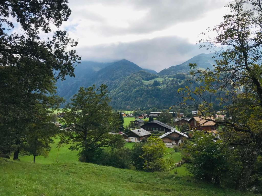 Chalet familial calme proche centre, 8 pers, WiFi, garage - FR-1-629-103 - 2
