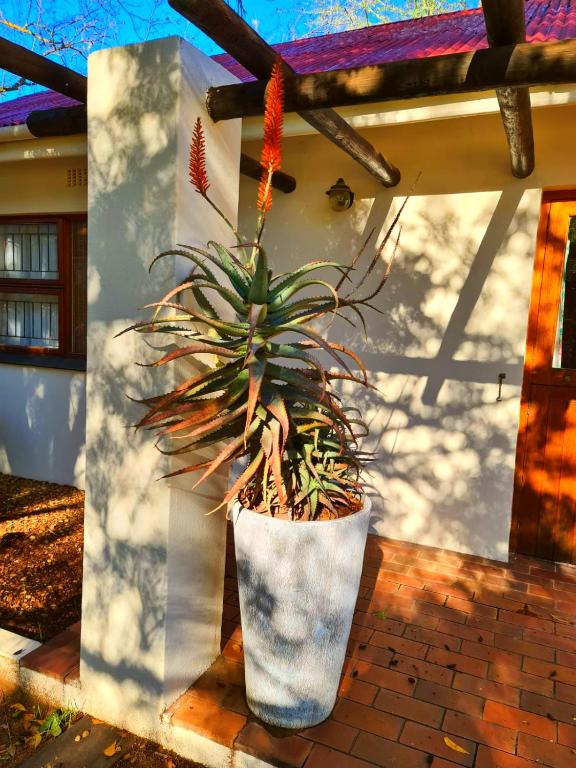 Protea Chalet photo