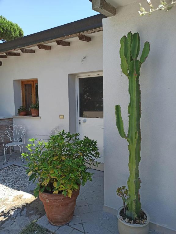 Casa La Gardenia photo