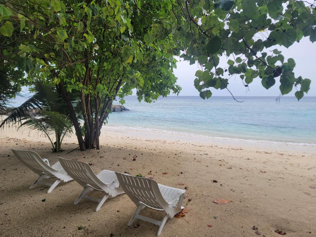 ชายหาด