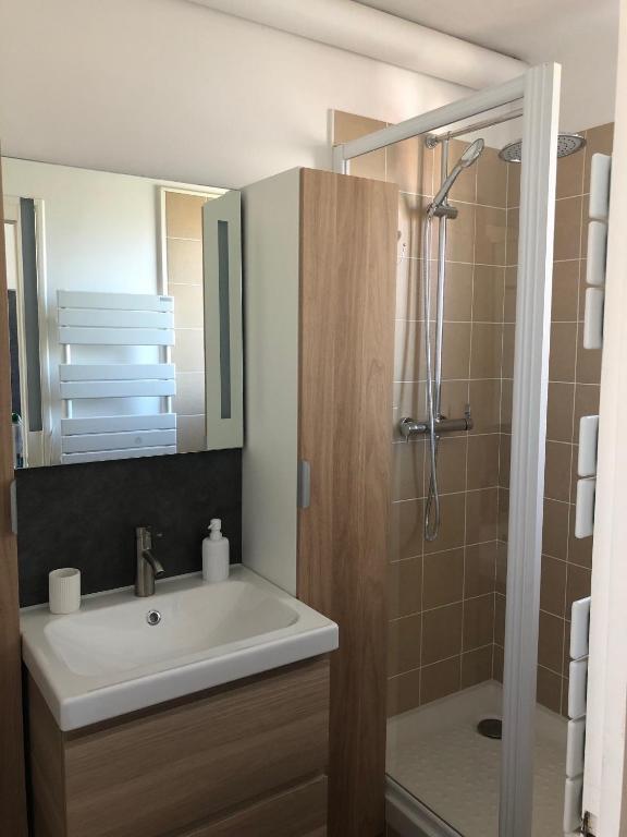 DEMOISELLES - Appartement 1 chambre - 3