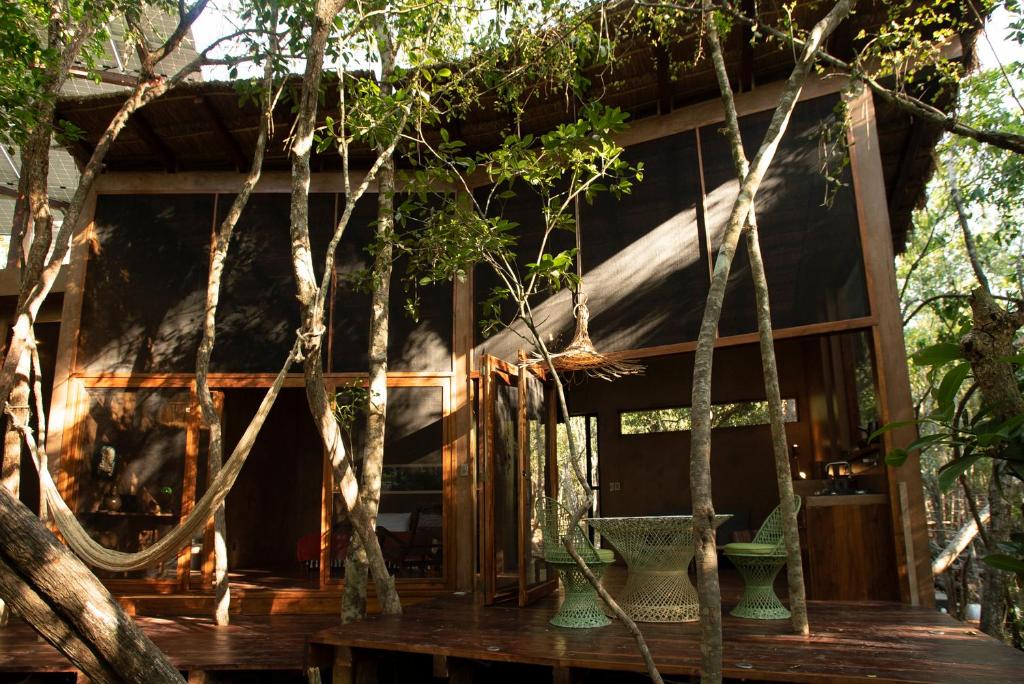 OJO DE ÁRBOL, boutique cabin in the real jungle - 2