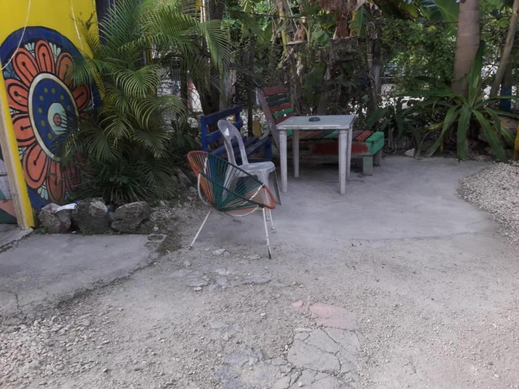 Hostal y Camping Las G photo