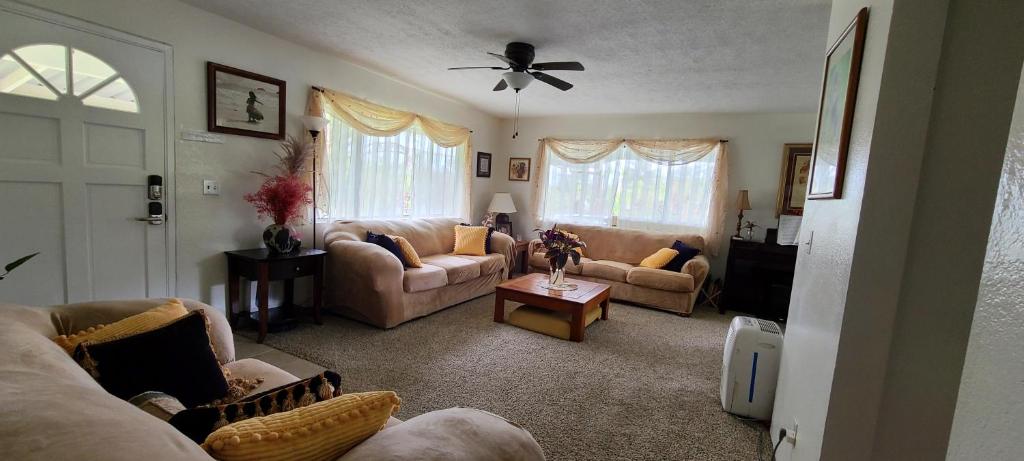 Humble Home in Hawaii photo