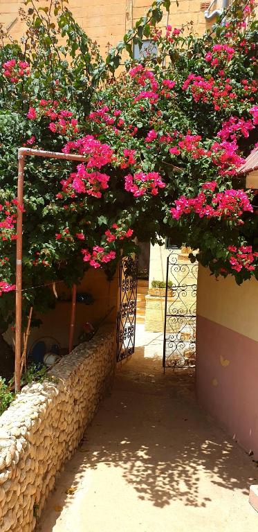 B&b Seaview terrace photo