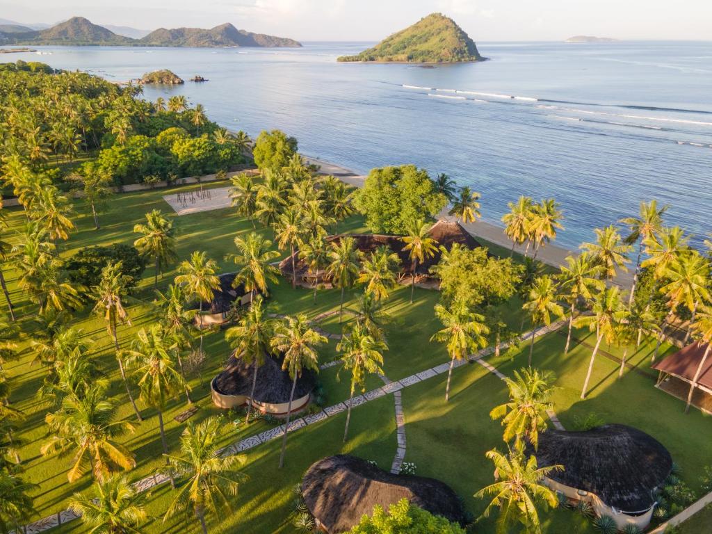 Whales and Waves, Lemonga