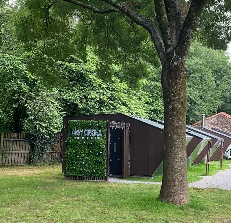 Cosy Cinema, Cardiff