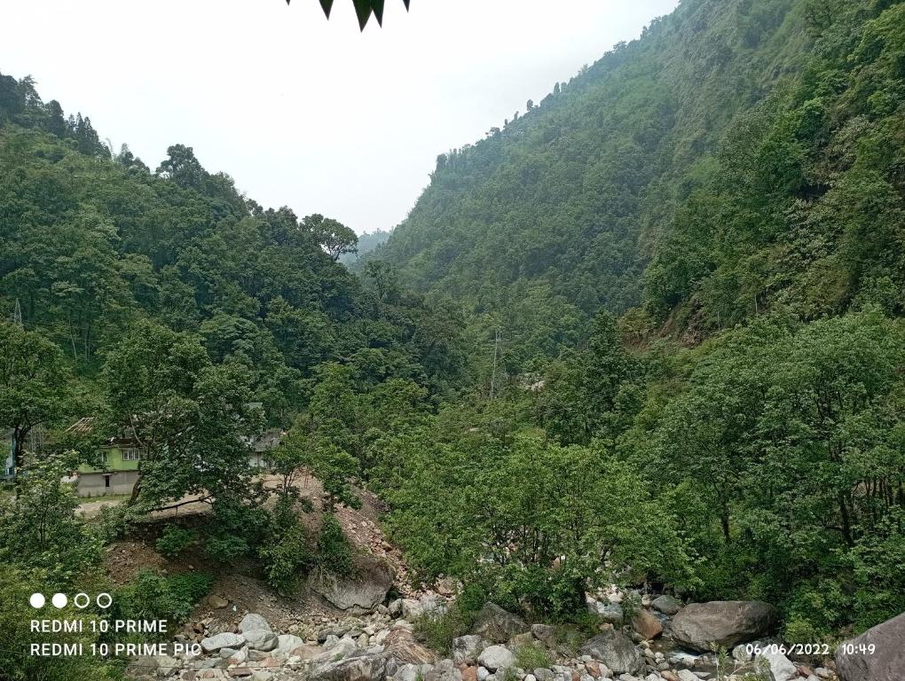 Smriti Homestay photo