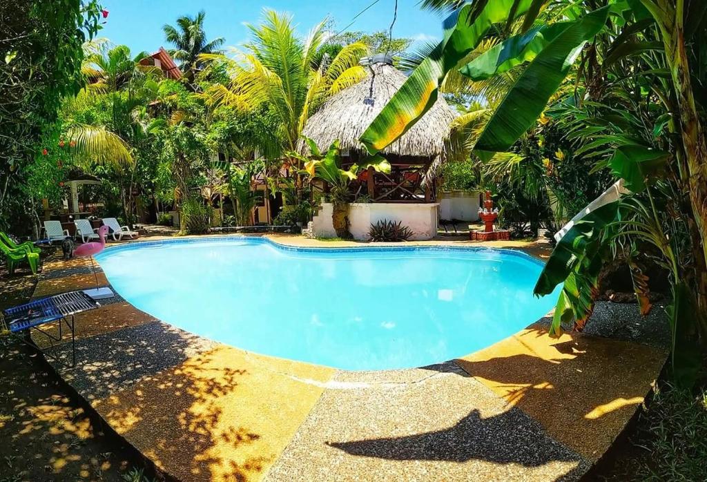 Hotel y Restaurante La Cabana el Viajero photo