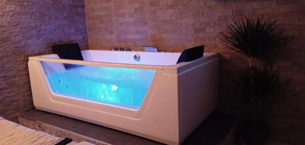 ESTUDIO Jacuzzi SOL De JEREZ - 5