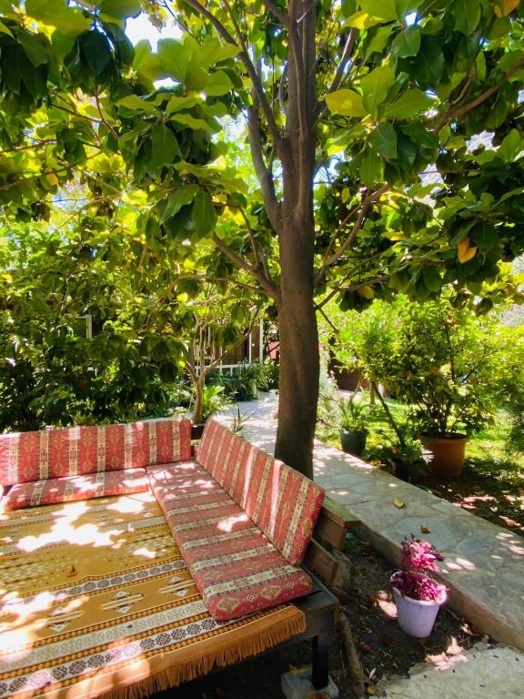 Canada Hotel & Bungalows 호텔 이미지 1