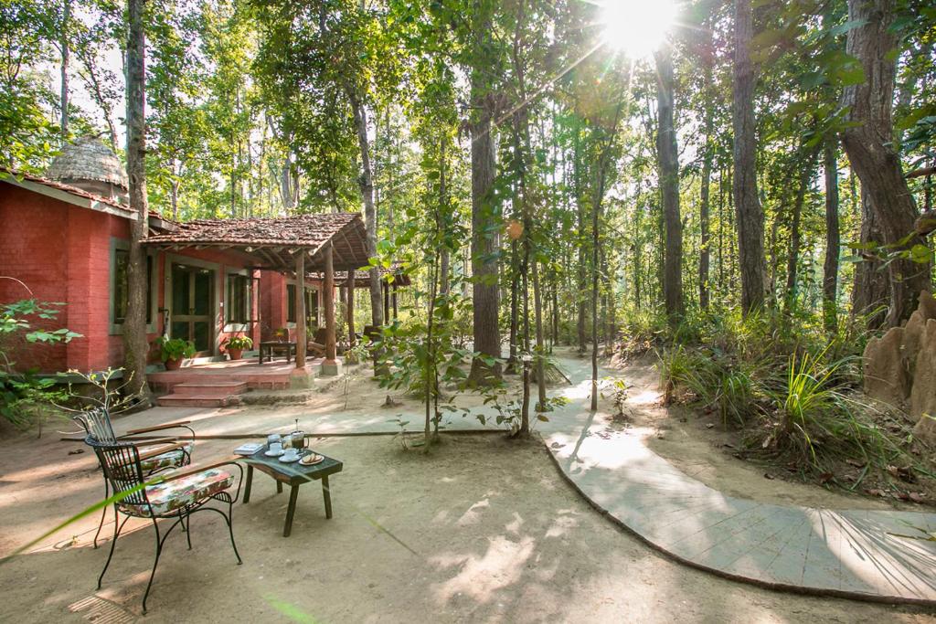 Kanha Jungle Lodge photo