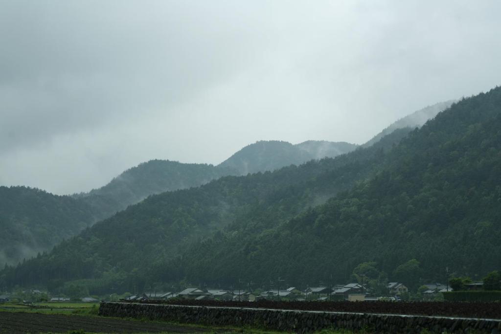A környék